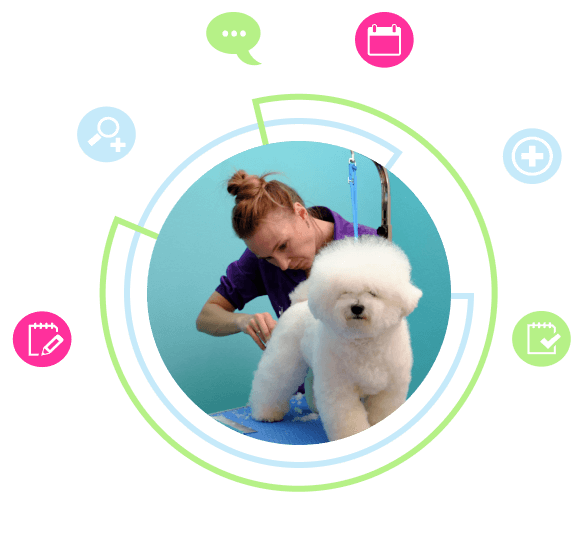 За груминг салони